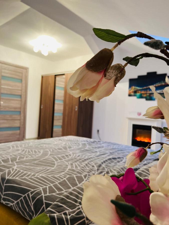 Zizi'S House Garii Apartment Брашов Екстериор снимка