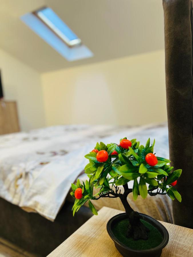 Zizi'S House Garii Apartment Брашов Екстериор снимка